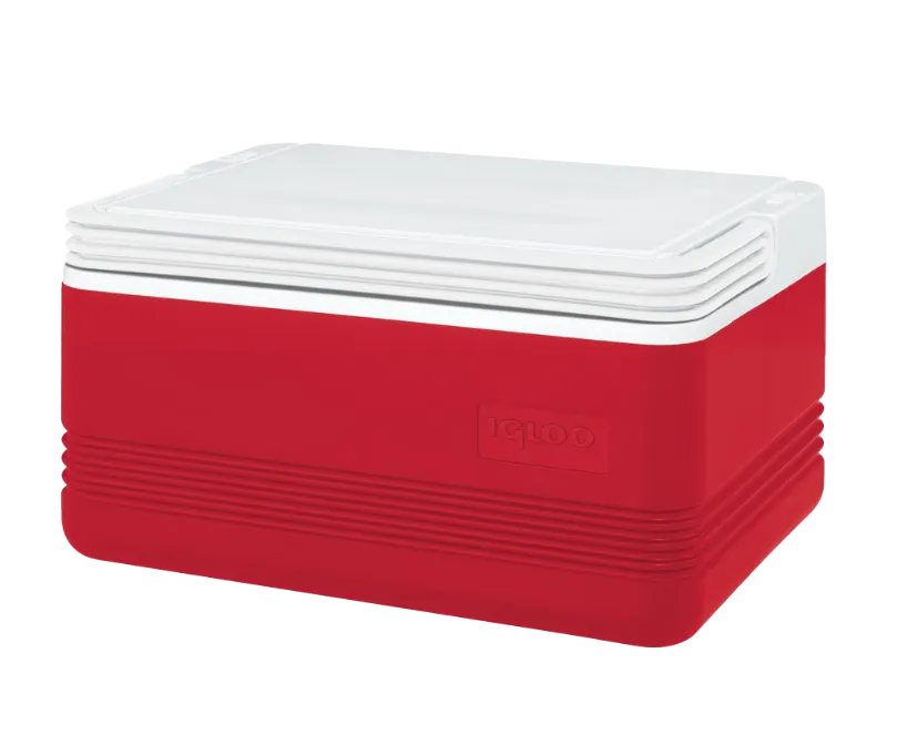 Kühlbox Igloo Legend 6, Volumen 5 Ltr., Farbe ROT inkl. Tragegriff 28 x 20 x 19 cm, ideal passend für 6 Probenahmeflaschen 250 ml 11653700