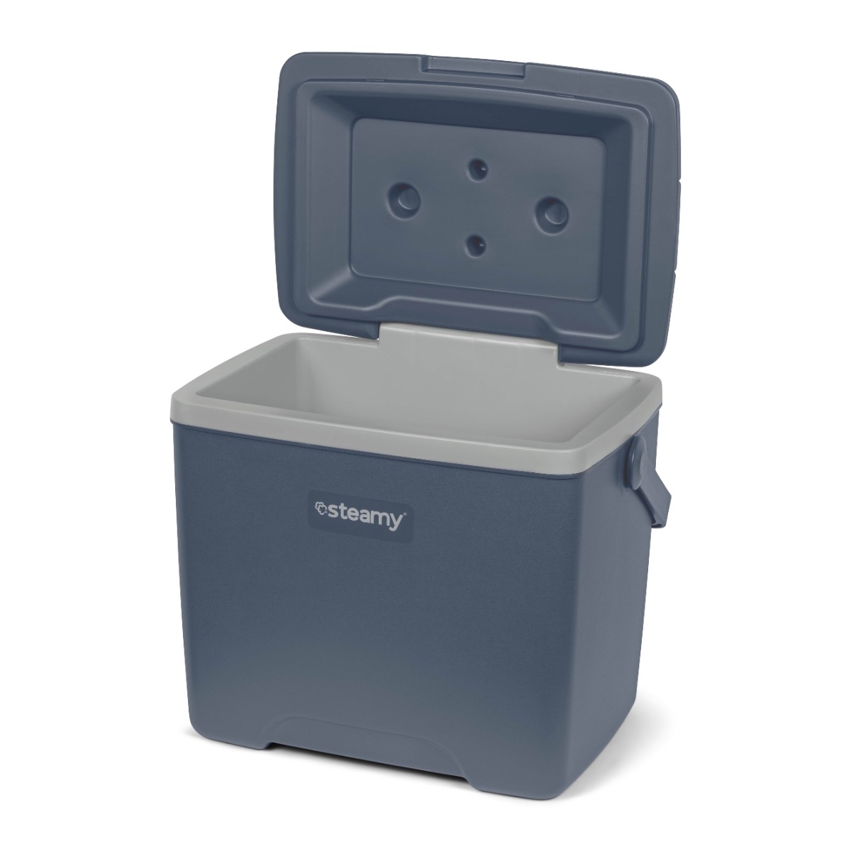 Kühlbox STEAMY 28, Farbe blau inkl. Tragegriff